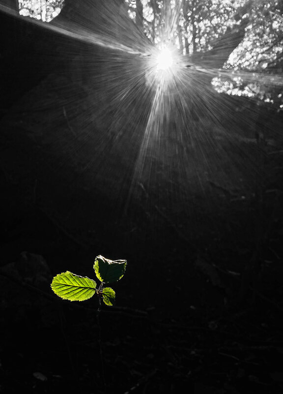 *** - Игорь Чичиль