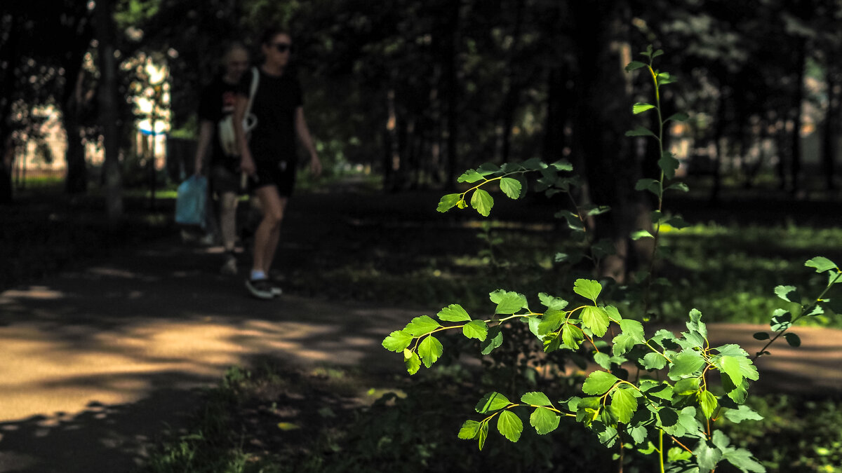 ***** - юрий поляков