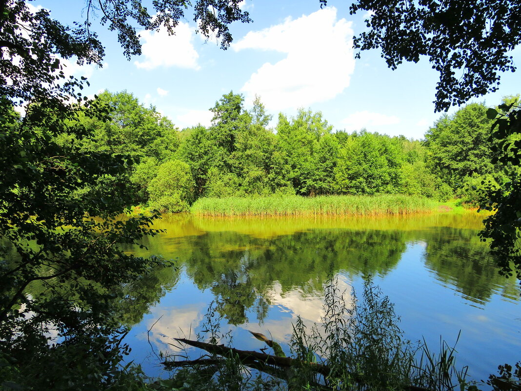 Отражение в озере - Андрей Снегерёв Отражение в озере - Андрей Снегерёв