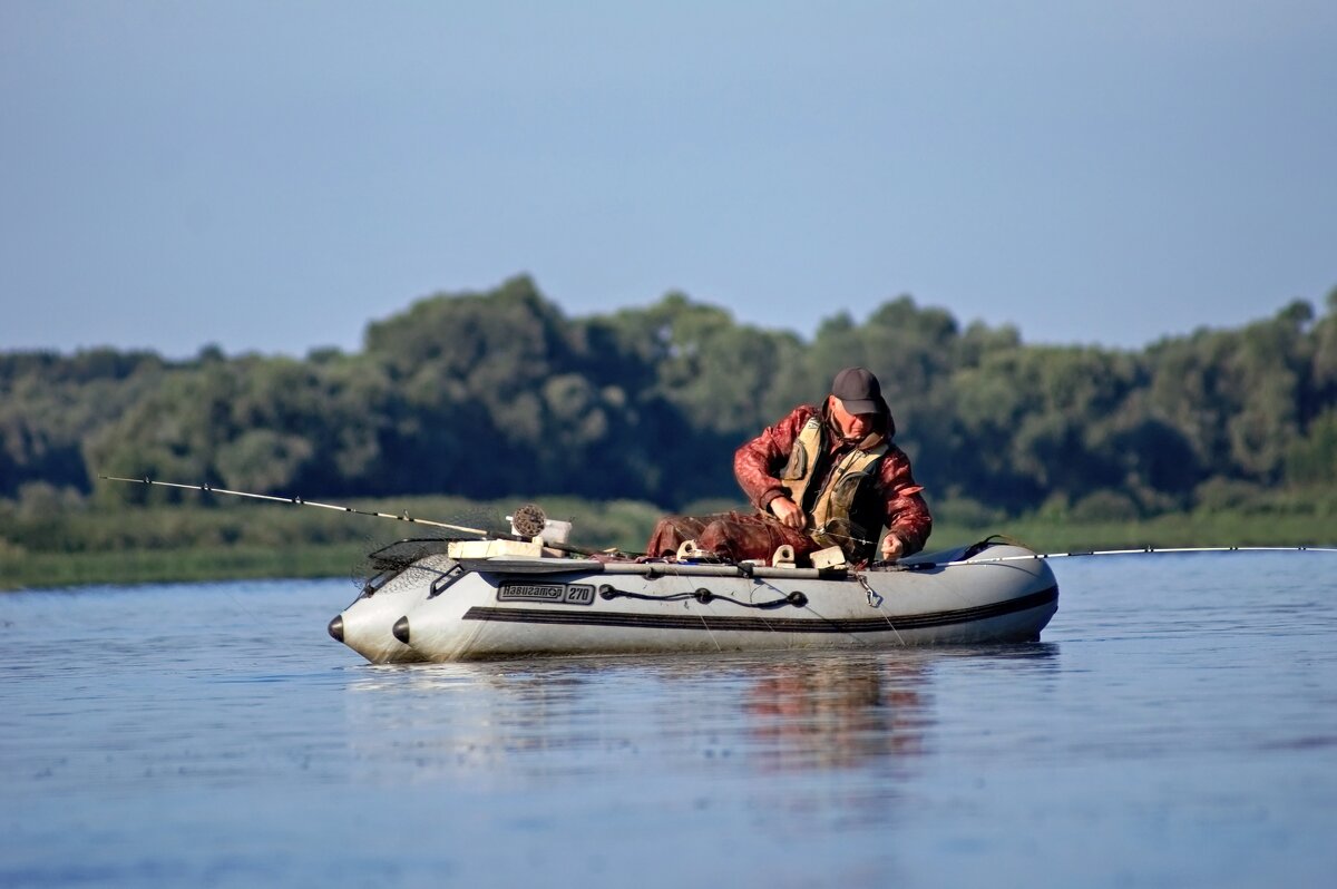 Сбежала рыба! - Валерий Судачок Сбежала рыба! - Валерий Судачок