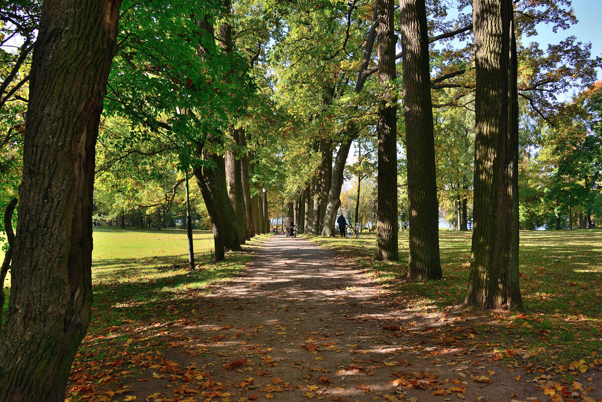*** - Александр Хаецкий *** - Александр Хаецкий