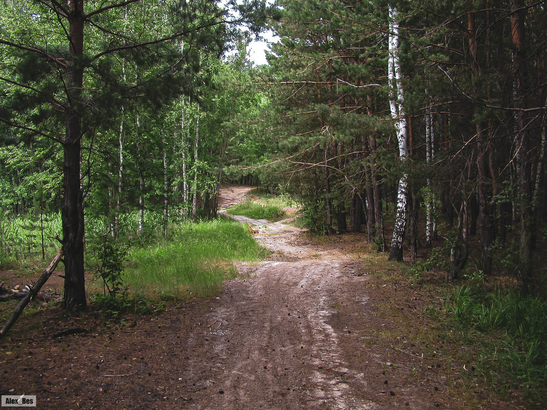 №104 - Alex Bes №104 - Alex Bes