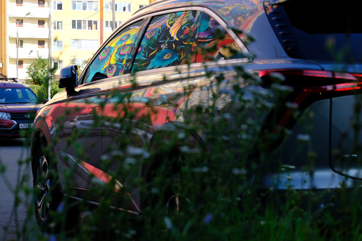 Камуфляж - Dar(k) Life Камуфляж - Dar(k) Life