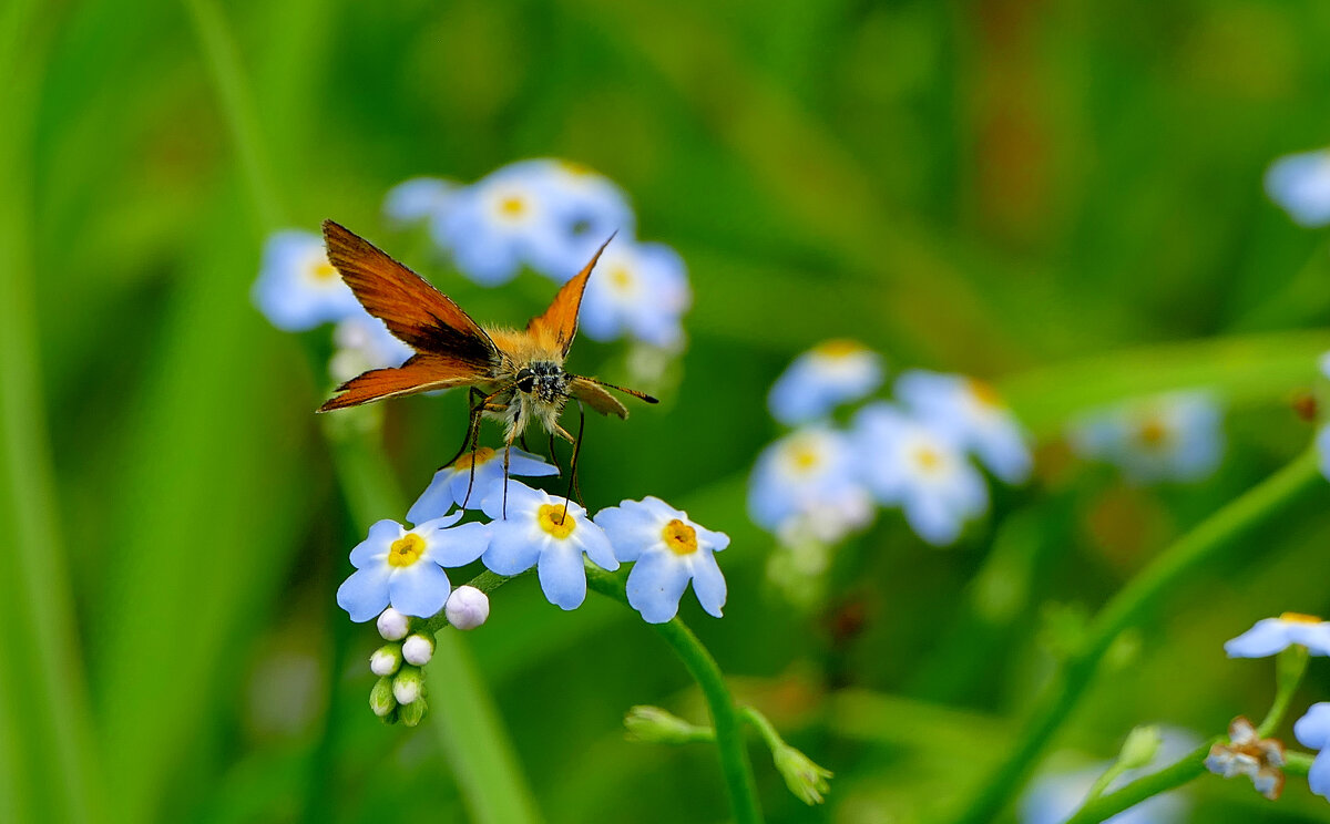 из вчерашней съемки 1 - Александр Прокудин