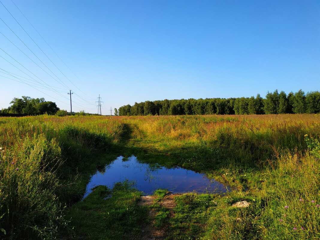 * * * - Андрей Лукьянов * * * - Андрей Лукьянов
