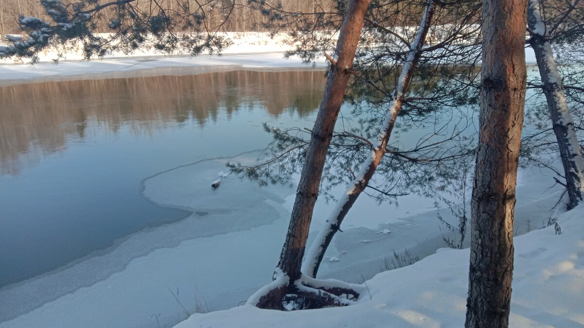 Илеть минувшей зимой - СЮ 