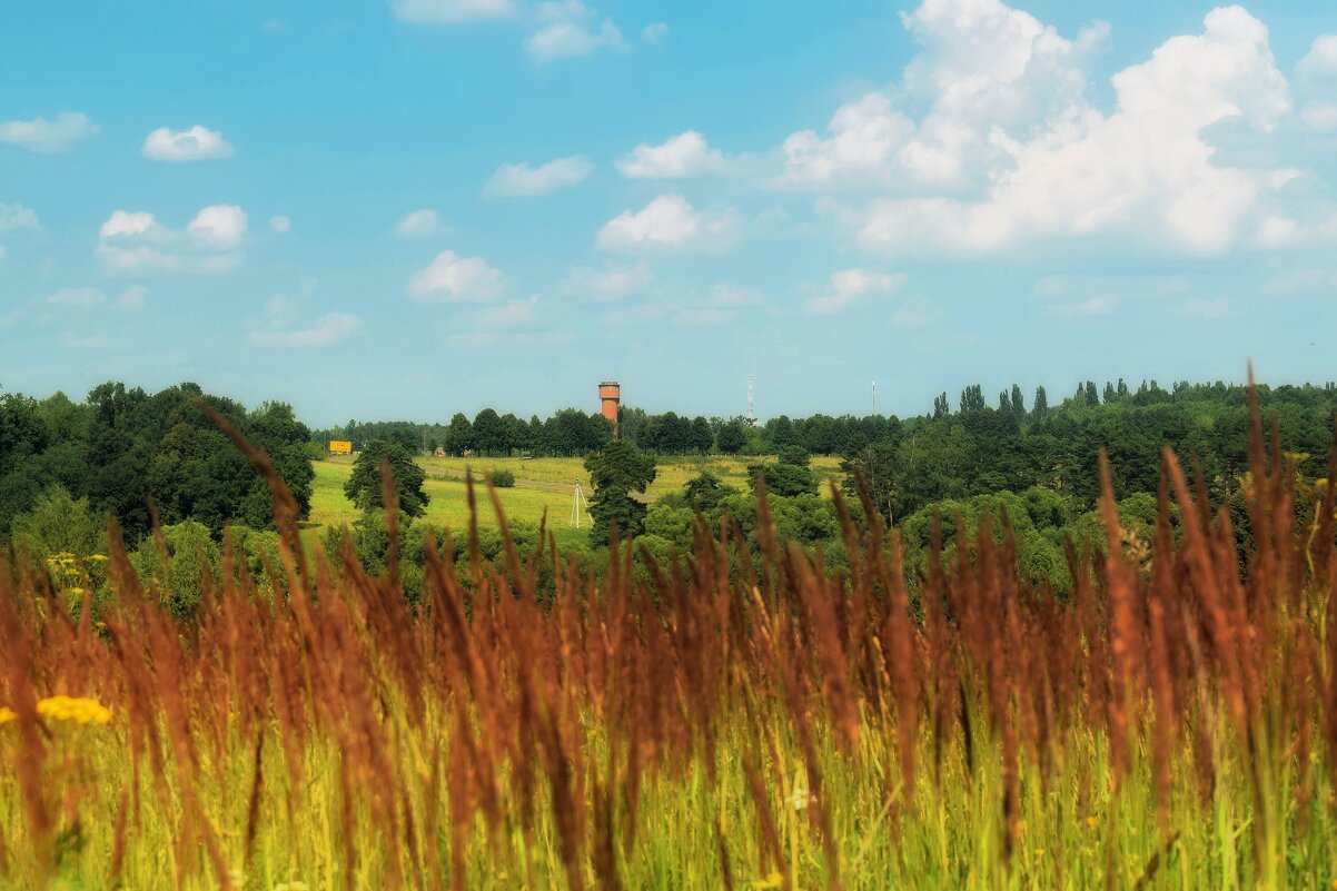 А лето цвета неба, огромное и синее! - Татьяна Помогалова