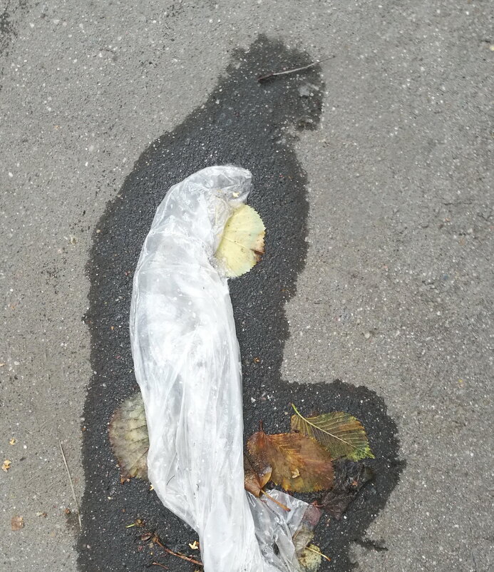 ОБРАЗЫ И ПОДОБИЯ - Юрий Вовк