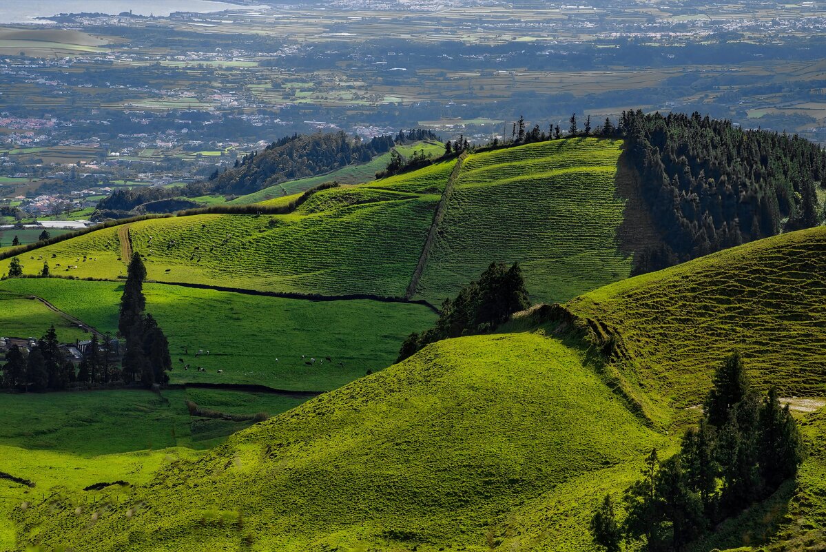 Magic Azores 71 - Arturs Ancans