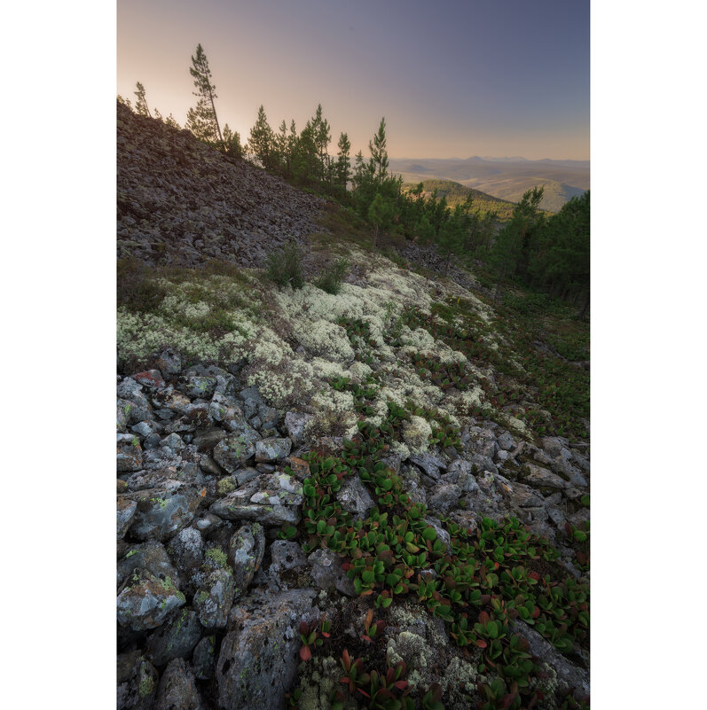 * - Александр Иванов