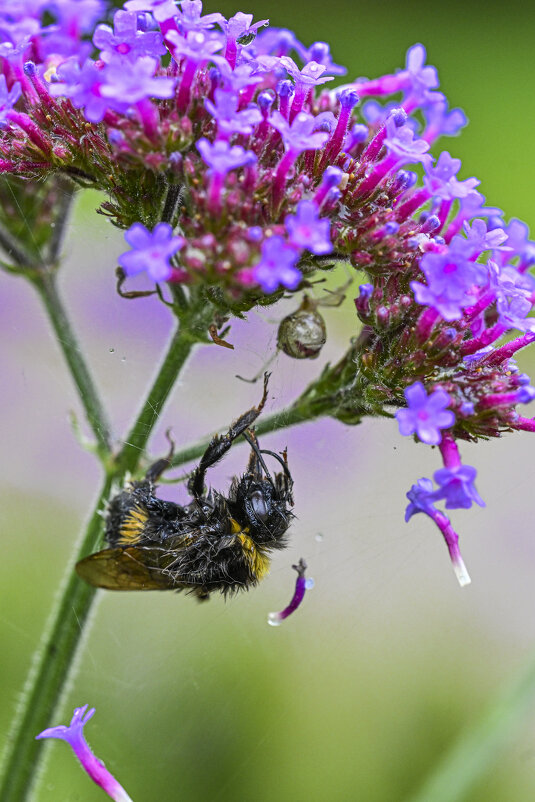 эх...не повезло товарищу - Осень 