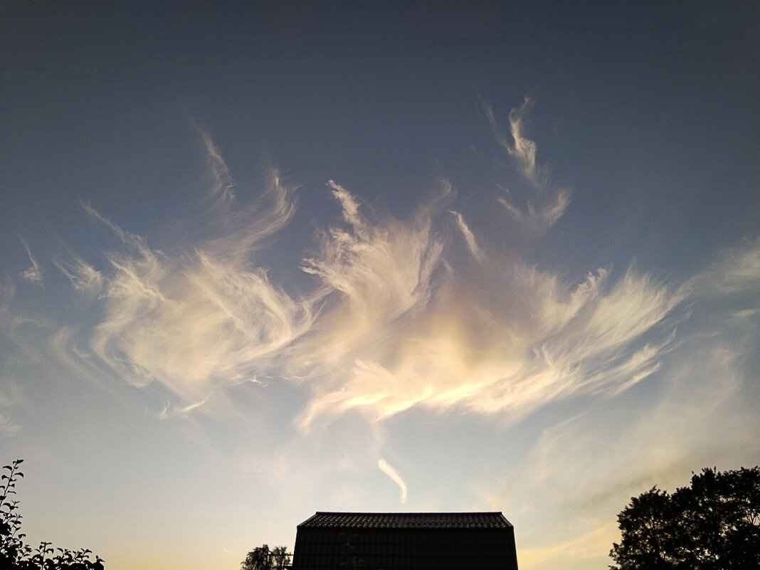 Знатный косяк кто то раскурил :) - Роман никандров Знатный косяк кто то раскурил :) - Роман никандров