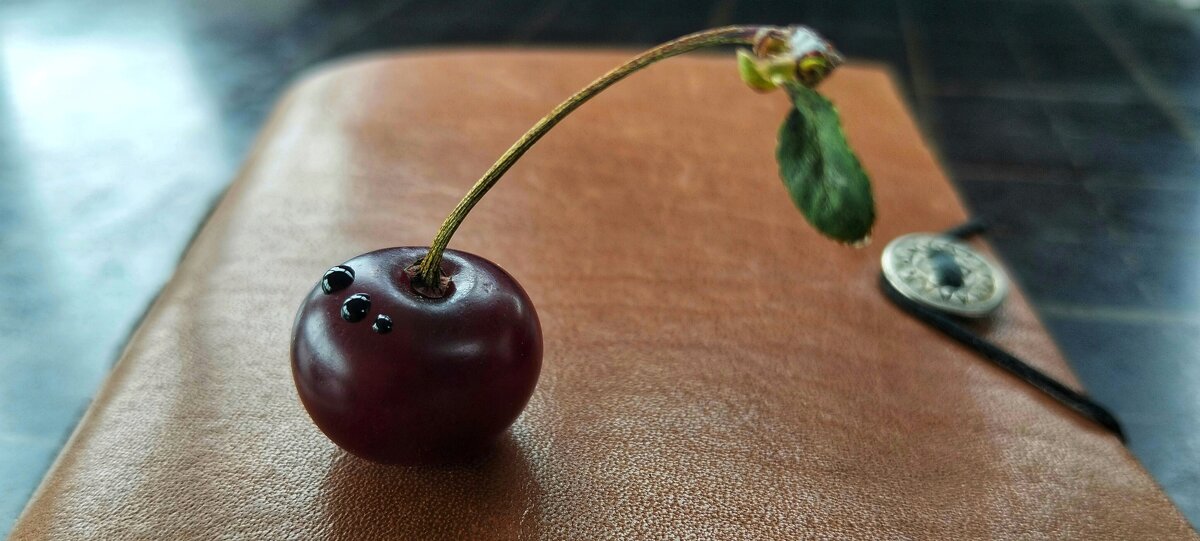 Пробник 2 - Шу Юншен