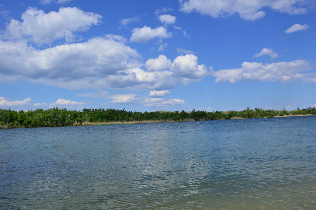 Донские зарисовки. - Виктор 