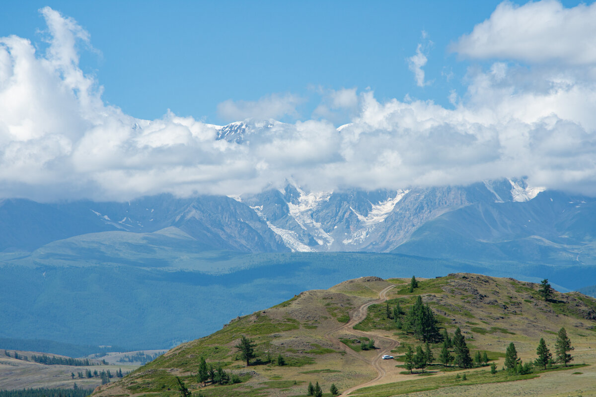 *** - Николай Чекалин