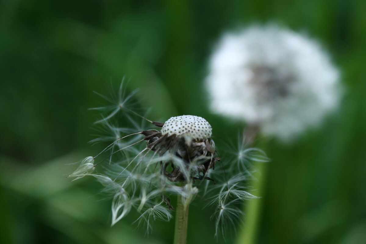 Воздушный - Любовь Иванова
