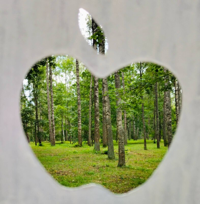 Природно-трафаретное - Галина Бобкина