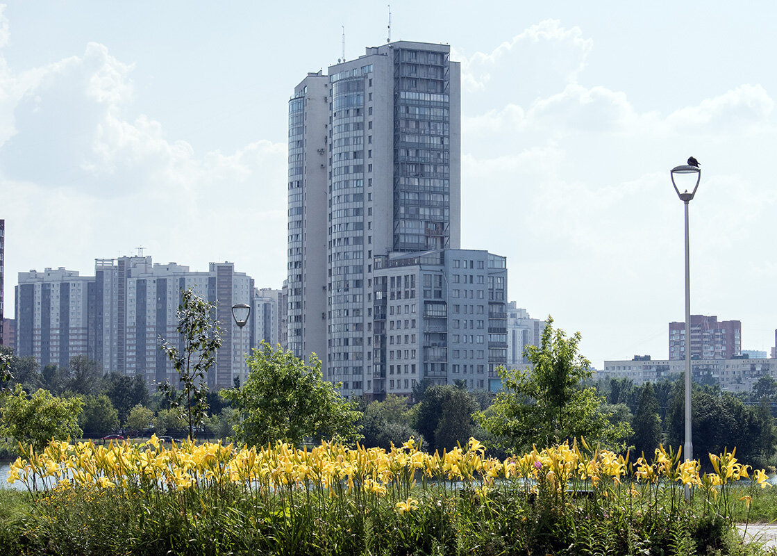 Городские цветы - VL 