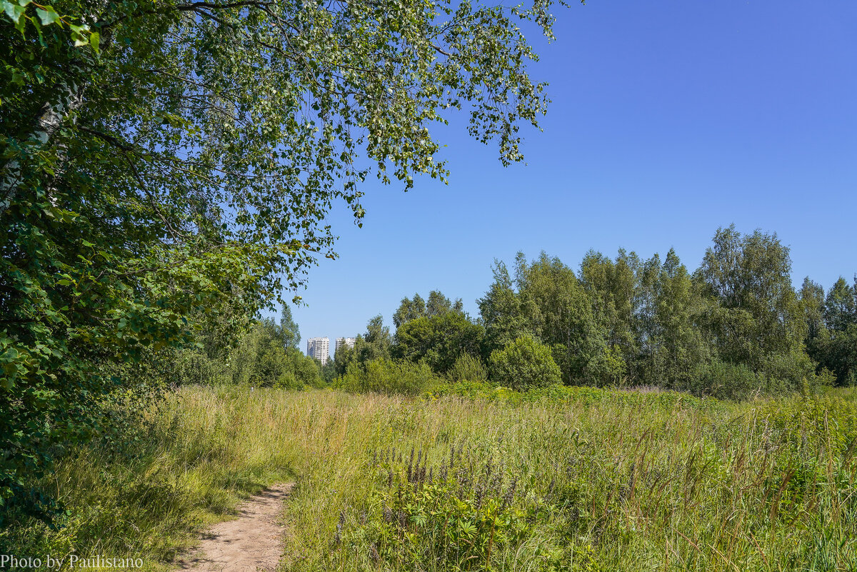В летний полдень... - Владимир Жданов В летний полдень... - Владимир Жданов