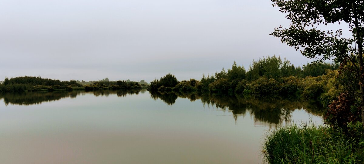 Уже классика) - Шу Юншен