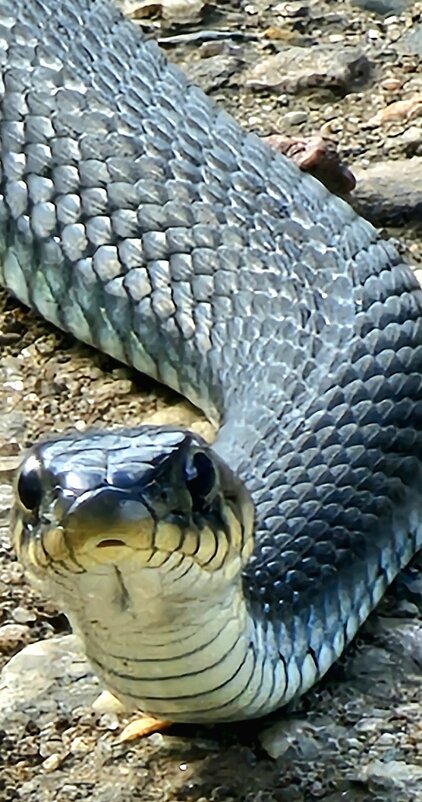 я ее тоже заинтересовал. - Михаил Свиденцов я ее тоже заинтересовал. - Михаил Свиденцов