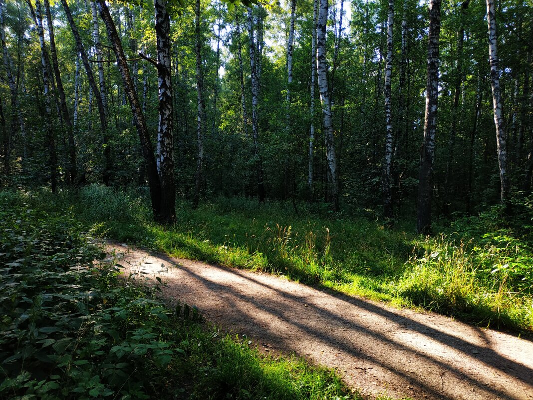 Июль уходит - Андрей Лукьянов