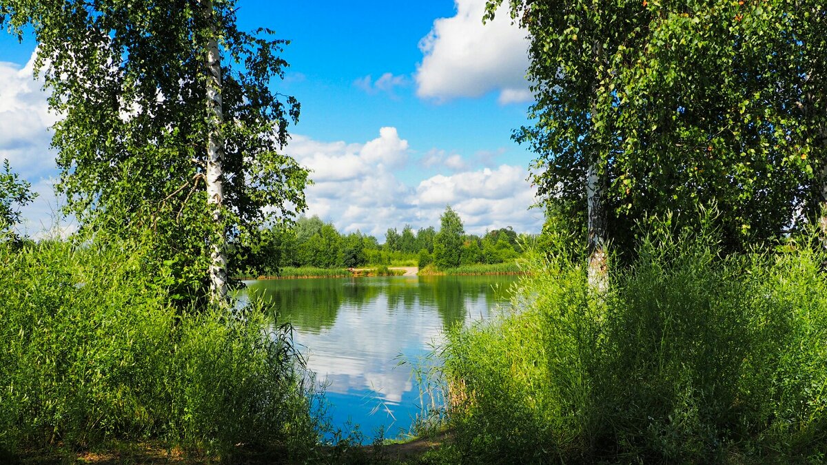 Лето в конце июля. - Милешкин Владимир Алексеевич 