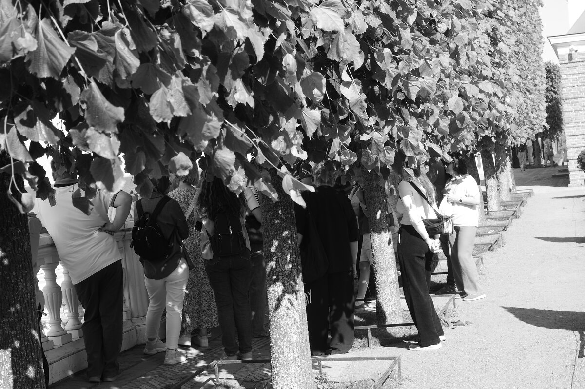 .... - Юрий Самсонов