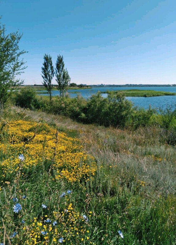 Июль - Георгиевич 