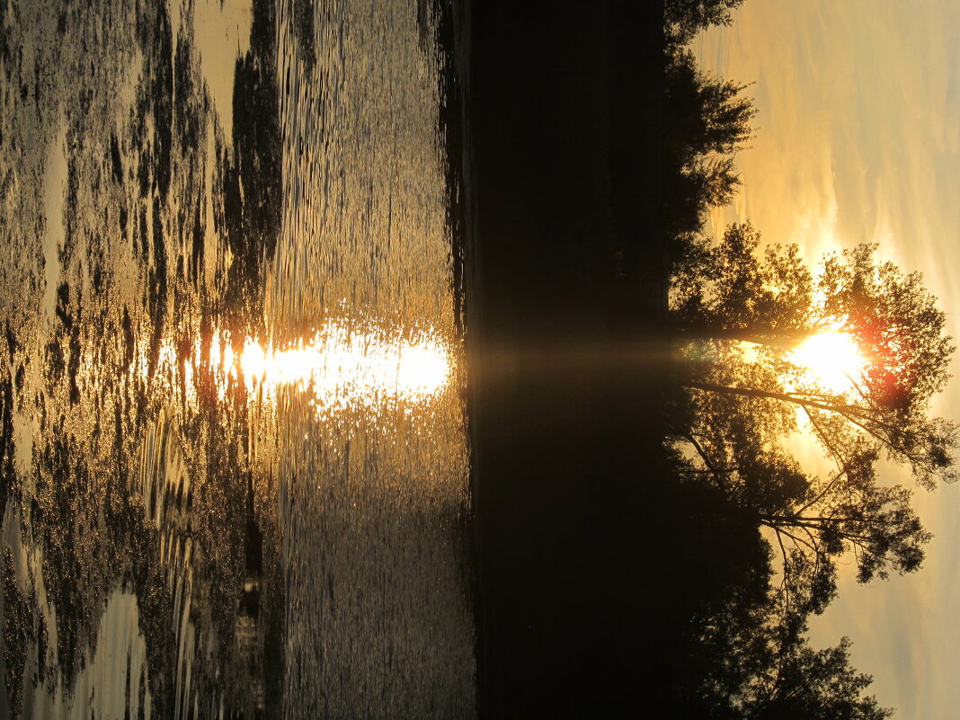 краски заката - Елена Шаламова