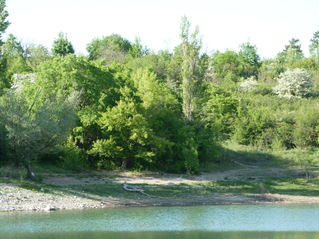 Природа  Крыма - Валентин Семчишин