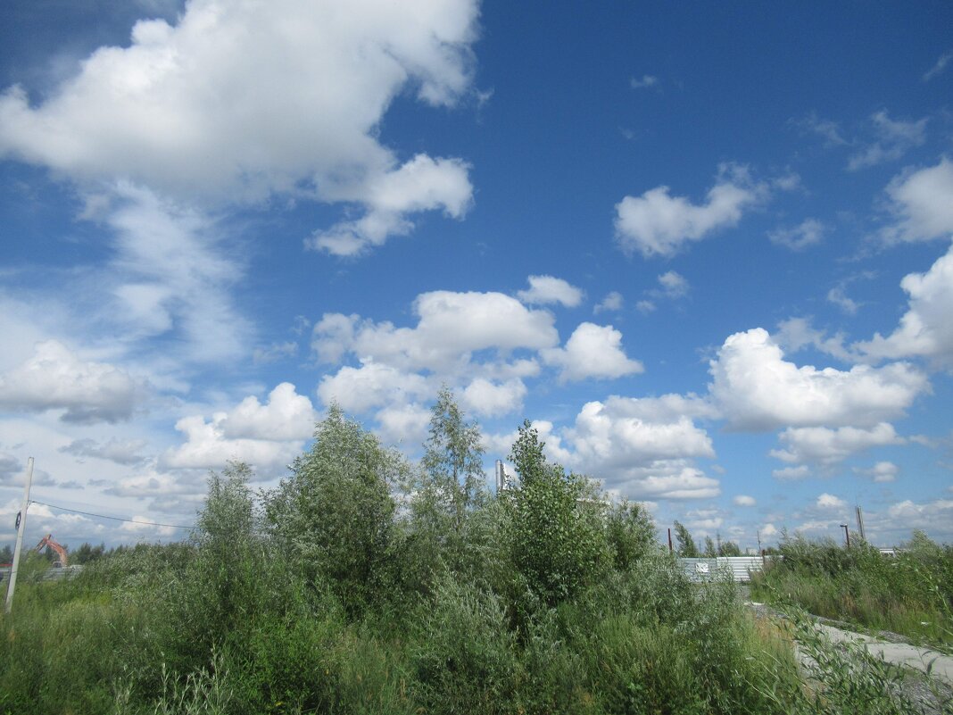 Облака - Андрей Макурин