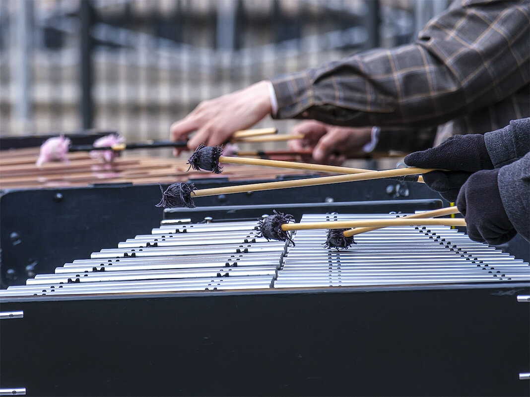 Ксилофон. - Александр Ксилофон. - Александр