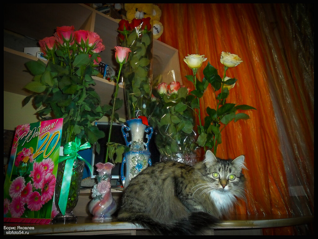 Присоединяюсь к поздравлениям!!! - Борис Яковлев