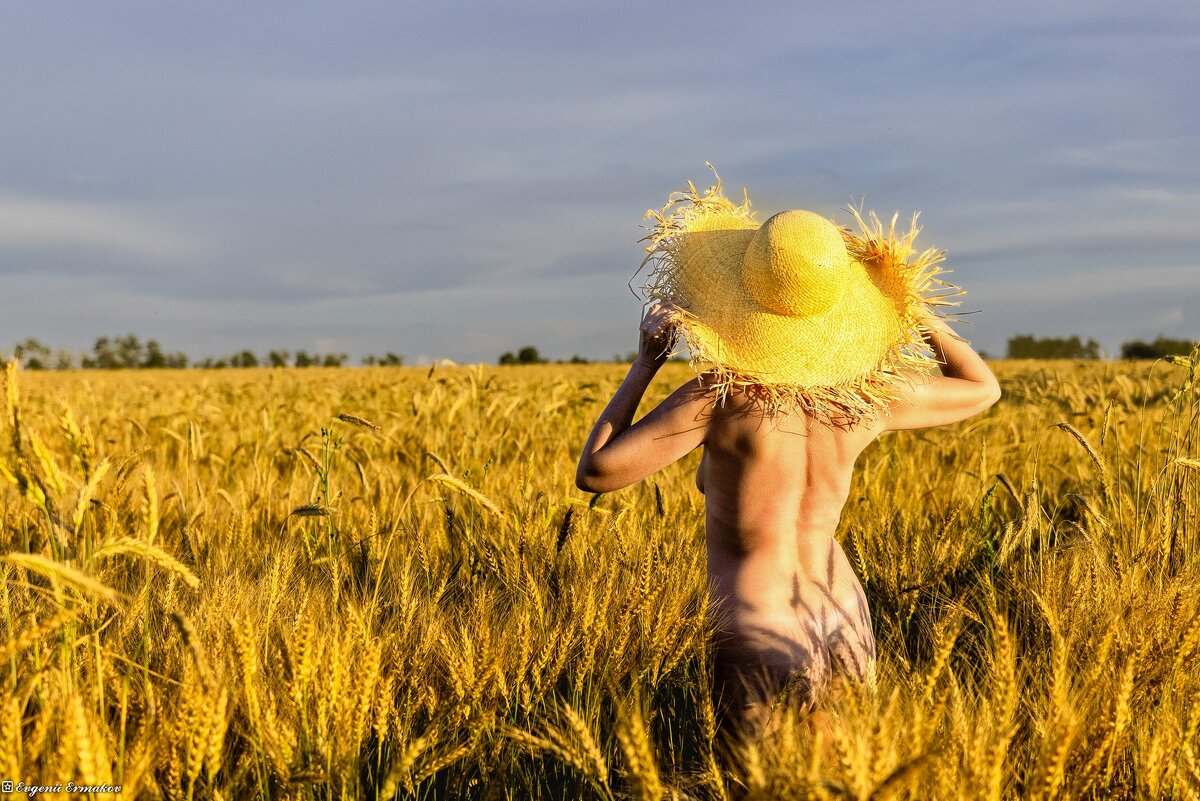 Эротические грёзы местного троллинга - Евгений Ермаков Эротические грёзы местного троллинга - Евгений Ермаков