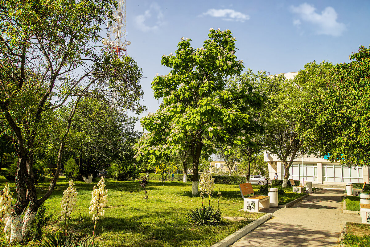 Дорожка - Анатолий Чикчирный