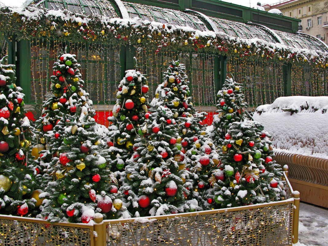 Тверская - Игорь Белоногов