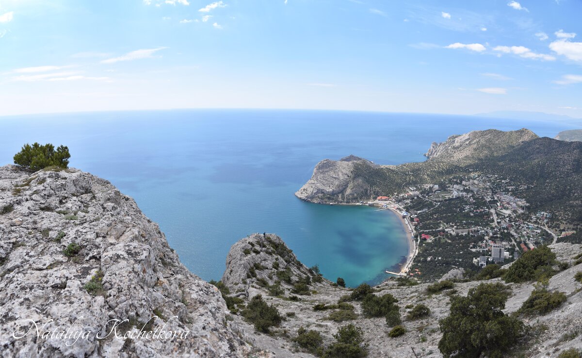 Природа Крыма - Amazing Cosmea Природа Крыма - Amazing Cosmea