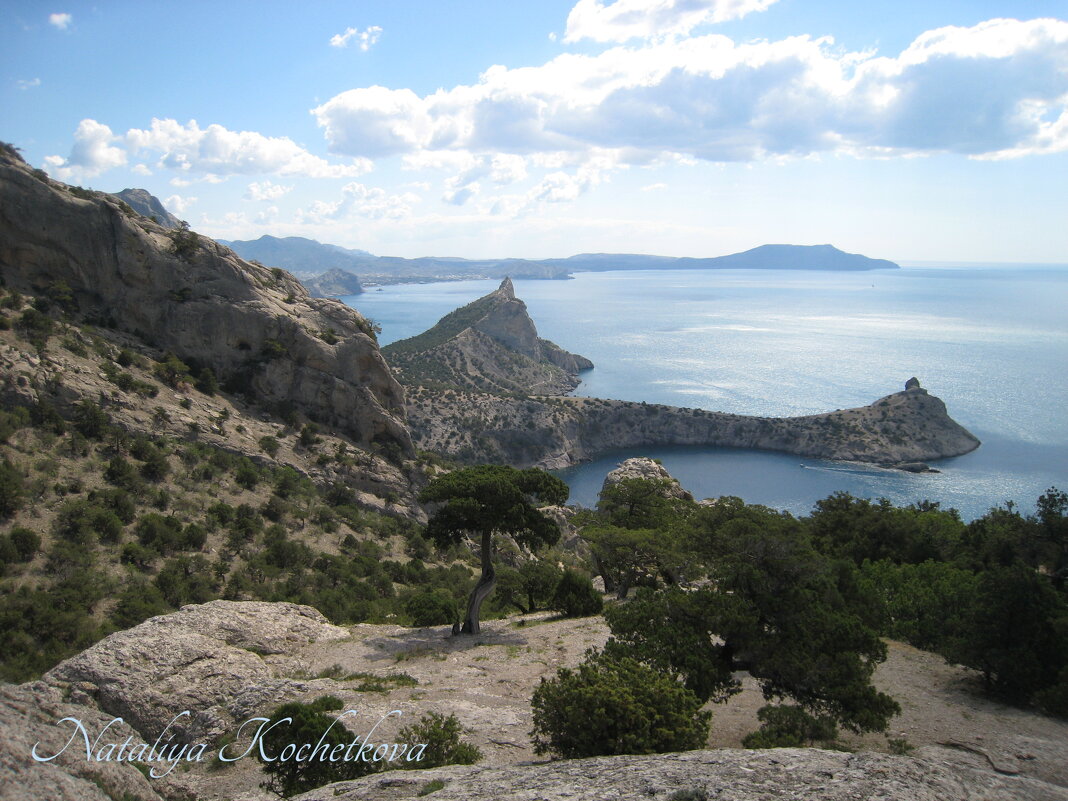 Природа Крыма - Amazing Cosmea