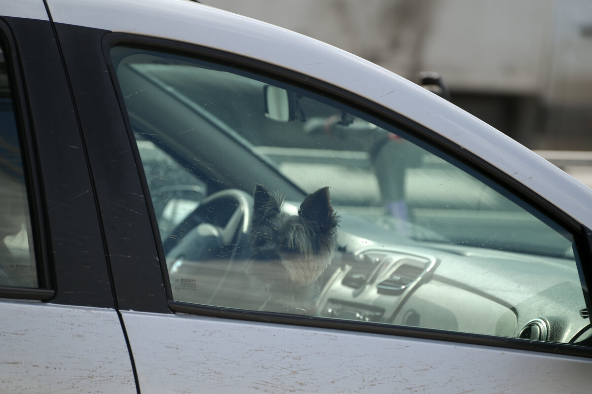 стрит - cfysx стрит - cfysx