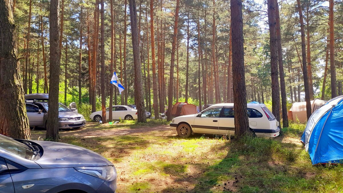 Летний лагерь у моря в лесу. - Мила Бовкун