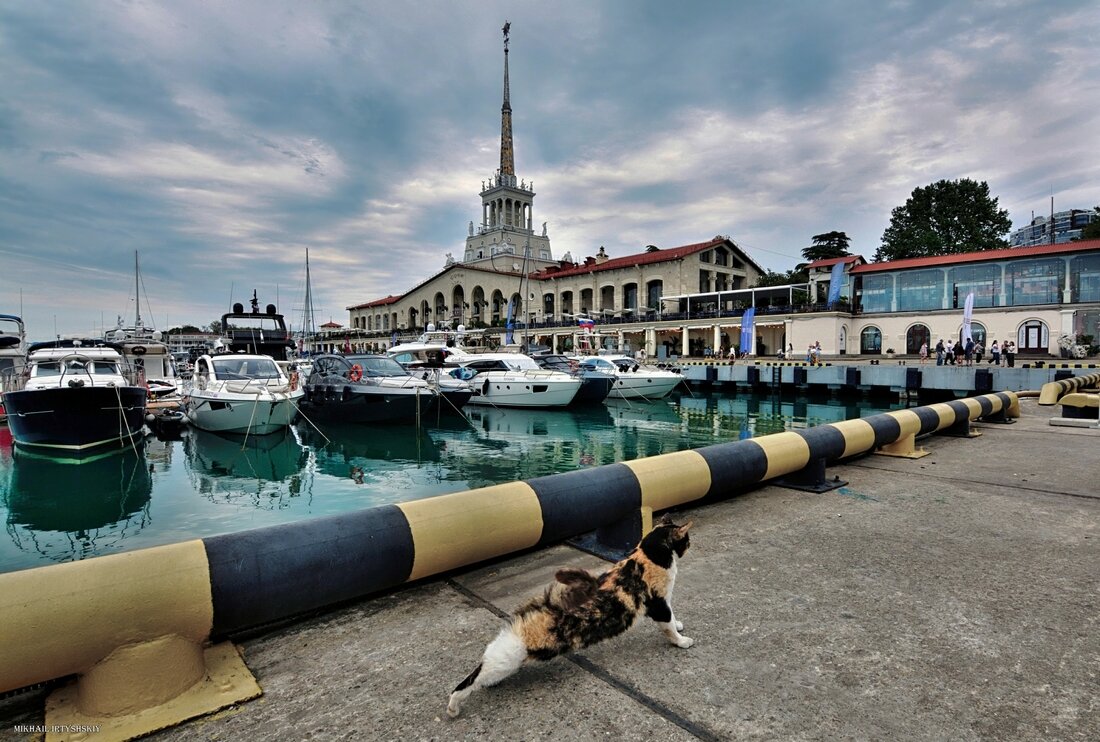 Морской порт Сочи с одним котом - Mikhail Irtyshskiy Морской порт Сочи с одним котом - Mikhail Irtyshskiy