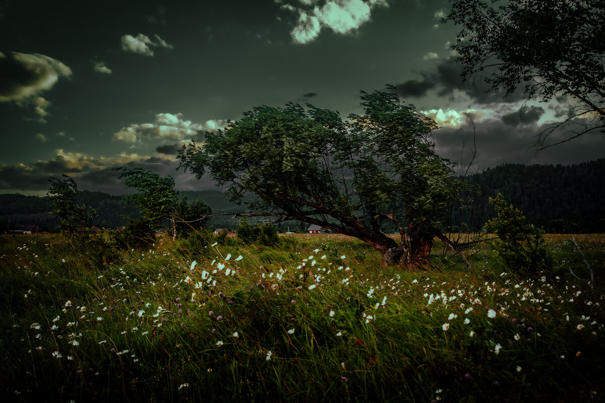 Шторм надвигается. - Георгий 