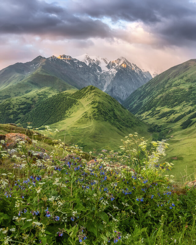 Кавказ - Владимир Колесников