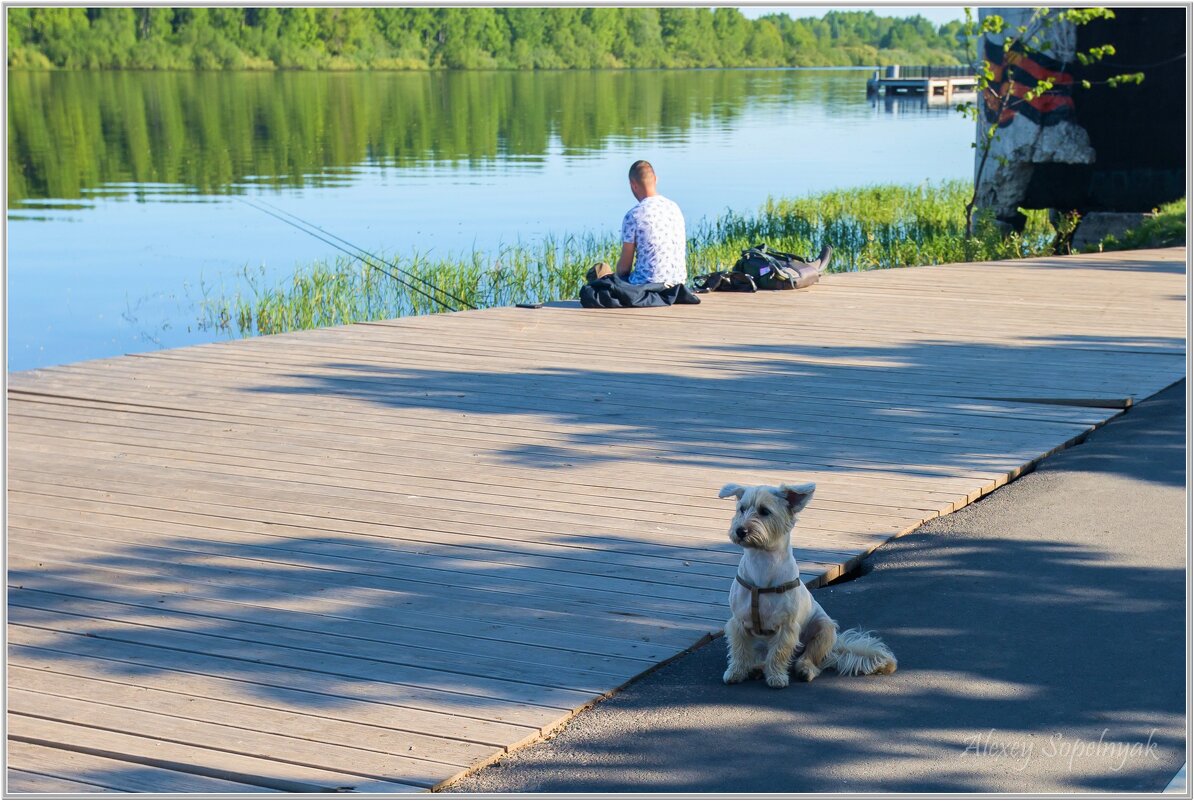 Такой охранник не проспит - Алексей Сопельняк Такой охранник не проспит - Алексей Сопельняк