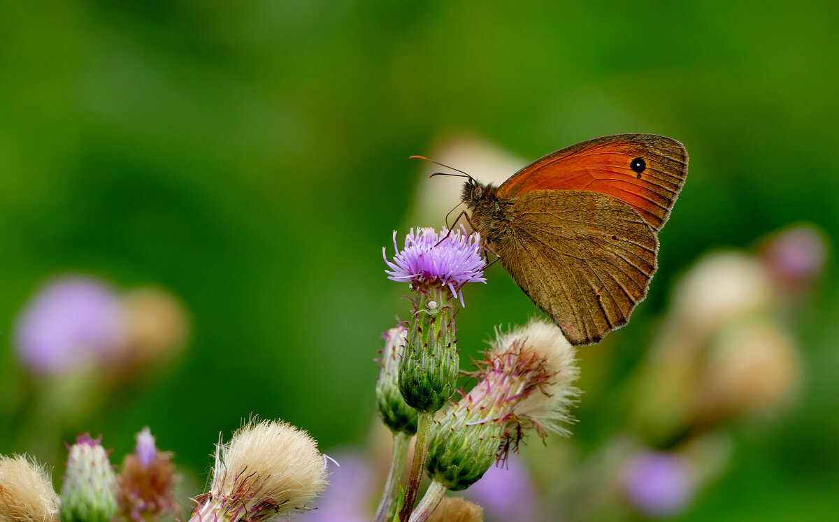 из вчерашней съемки 2 - Александр Прокудин