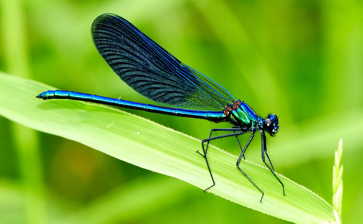 из вчерашней съемки 3 - Александр Прокудин из вчерашней съемки 3 - Александр Прокудин