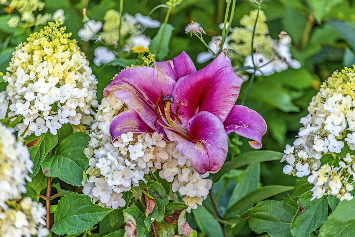 Подружки - Валерий Иванович Подружки - Валерий Иванович