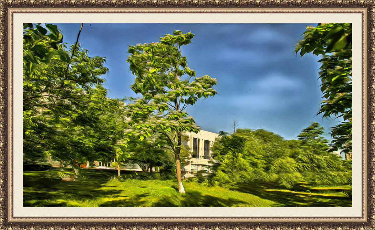 Катальпа - Анатолий Чикчирный