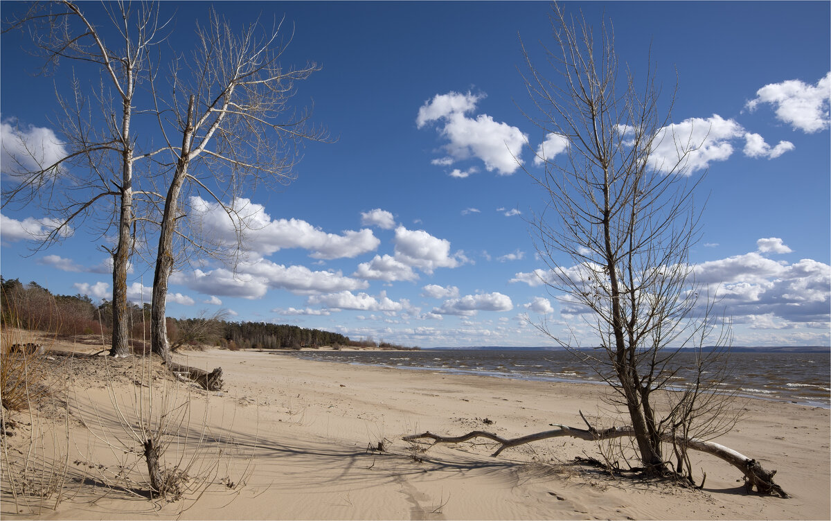 Волжский берег, апрель - **** vedin